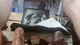 Do you want to fuck my ass?