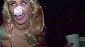 Discover the intriguing new tv show featuring the muppers in florida