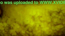 Hey, check this amateur couple banging missionary and doggy with a hot creampie!