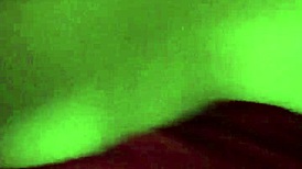 homemade amateurs hook up for one night 😏