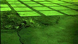 Female Bondage Restraints Unleash Deep Submission and Pleasure