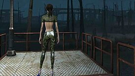 My Fallout 4 Adventurer Look Rocks