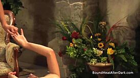 Leather And Lace Busty Slaves Play For Voyeur Madame In Femdom Scene