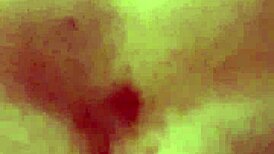 Guy Takes It Deep From Hot Security Guard On All Fours