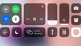 Chubby Women Are the Best