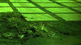 damn, that bondage machine fucks me hard