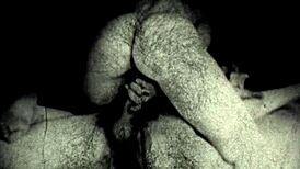 i present my secret life diaries from 19th century