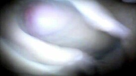 Watch this bisexual guy stroke until he cums? Follow @obissexual