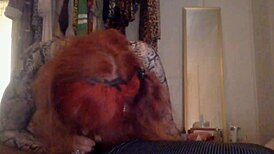 Tranny, you're losing it over that massive BBC!