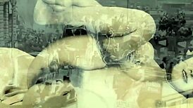 Dark lantern entertainment presents vintage petmania