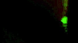 What makes gay life in Vietnam so intriguing?