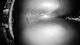 Busty ebony craves that big dick now