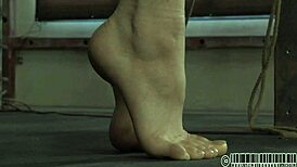 Free sadomasochism practice videos for exploration