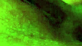 Real lesbian scissoring with Cherry Adams and VenusssModel until squirting climax.