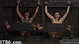 Lusty Collaring for Naughty Playgirl in Rough Bondage