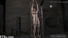 Sweet Hottie Enters Her Cage