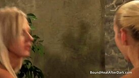 Chatting about leather and lace, her collar reward awaits! 🐾