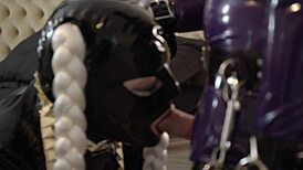 hey, miss maskerade latex couple blowing master before bondage fun