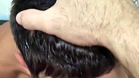 mamou at� tirar todo leite augusto phellipe