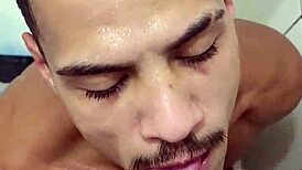 mamou at� tirar todo leite augusto phellipe