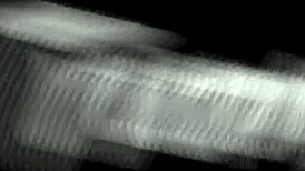 Trans hotties engage in hard fucking scenes