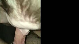 Skinny Teen Girlfriend Enjoys Oral Fun