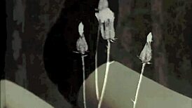 dark lantern entertainment shares vintage interracial stories from a victorian gentleman's erotic confessions