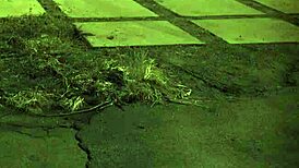 Wife dominates teen girl intensely