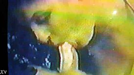 My Wife, The Blowjob Goddess, Sucks Big Tits