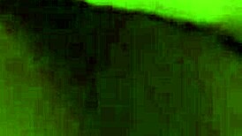 prostitute engages in anal sex with client