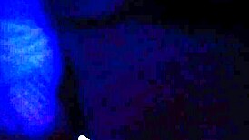 Girlfriend Rides Dick Hard In Cowgirl, Bent Over For Doggystyle