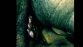 ebony bbw wet and creamy pussy and fat clit