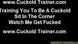 humiliating cuckolds like you is my favorite game