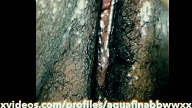 ebony bbw wet and creamy pussy and fat clit