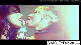 Hey, Madison Scott and Charley Chase are getting wild with hardcore fucking and blowjobs, big tits bouncing everywhere 😈