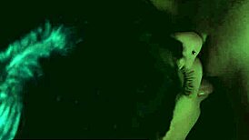 sybil and caomei bala explore each other by night