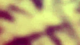 Young white teen deepthroats a massive black cock like a slut