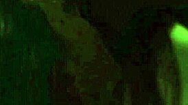 Aidra Fox and Evelyn Claire indulge in intense lesbian oral pleasure with big natural tits