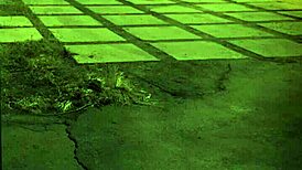 Wanna see sexy butt plug bondage?