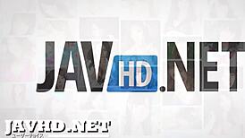 Elegant Japanese beauties shine in a stunning HD adult compilation