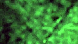 My girlfriend can't get enough of my cock!