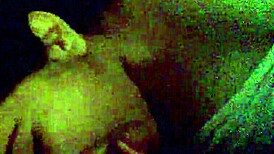 Asian Milf Boldly Fucks Teen Lover With Intense Sucking And Licking