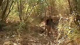 Outdoor Teen Lesbian Teasing And Undressing With Chloe