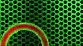 Perky Sluts Pressley Carter And Jillian Janson Tease And Wank Your Wang Dry In Pov