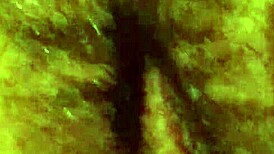 want a sensual massage in black lingerie with blowjob and handjob?