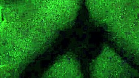 i snuck in and fucked my wife missionary style in our homemade spot, her pussy tight around my cock