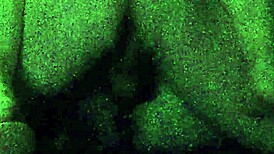 i snuck in and fucked my wife missionary style in our homemade spot, her pussy tight around my cock