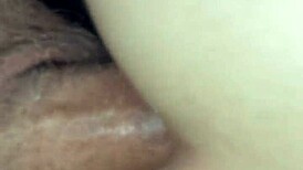 Check out this video compilation