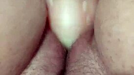 chubby fox playing with new medium flint bad dragon toy