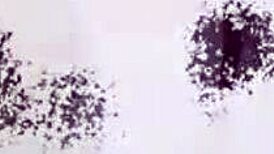 जापानी युवती 18+ स्टॉकिंग्स में सवारी